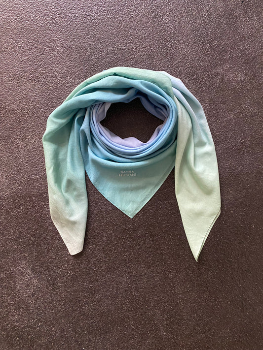 Scarf Blurred Peacock