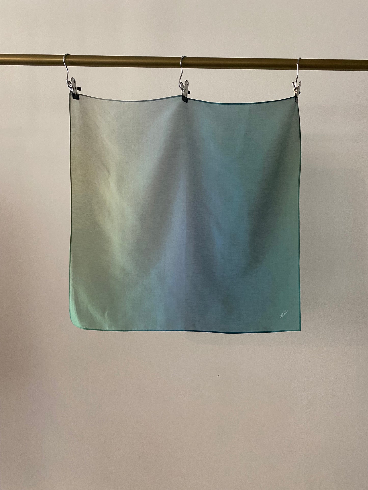 Scarf Blurred Peacock