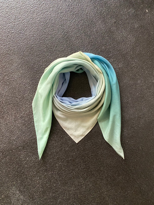 Scarf Blurred Peacock