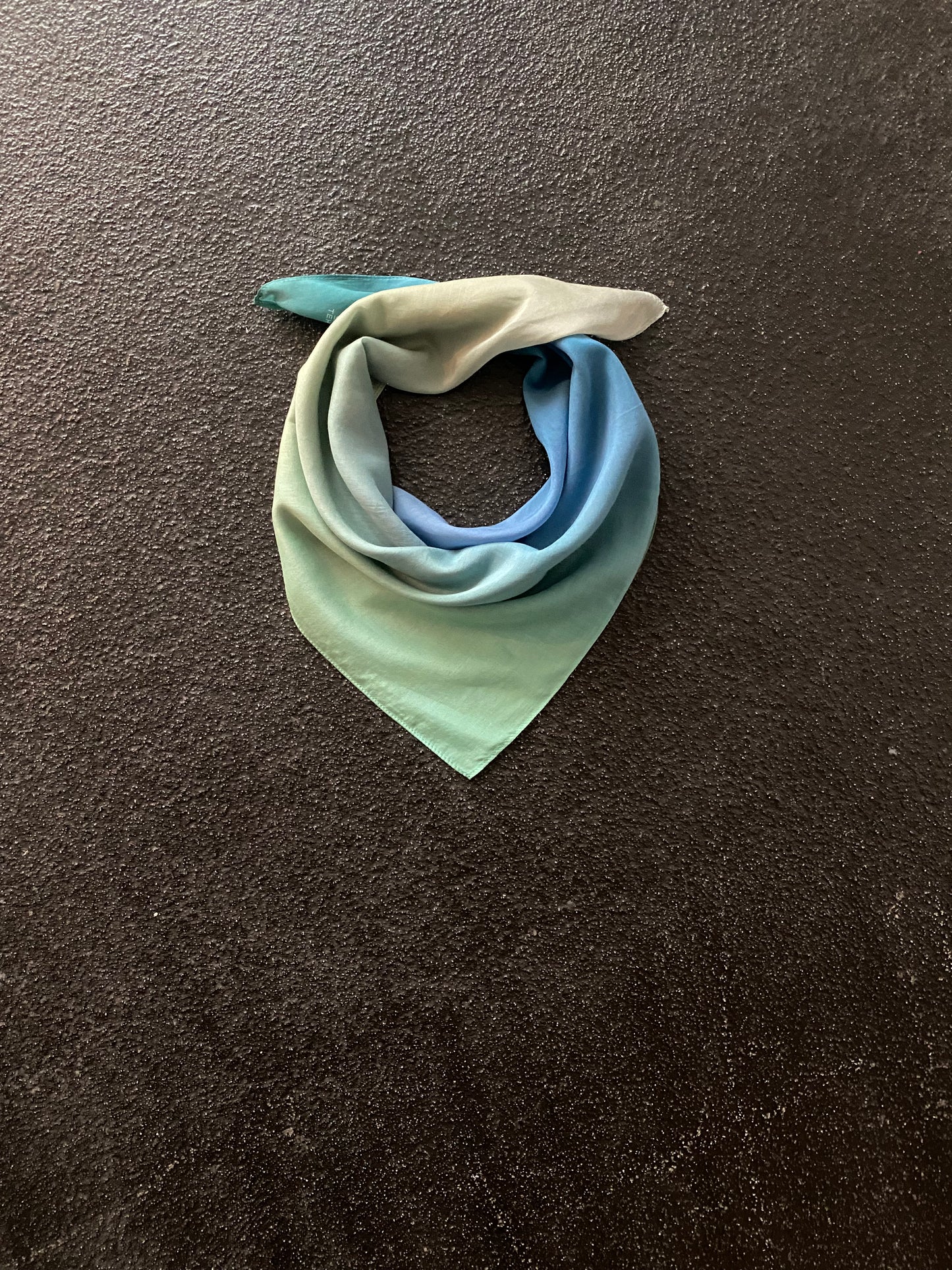 Scarf Blurred Peacock